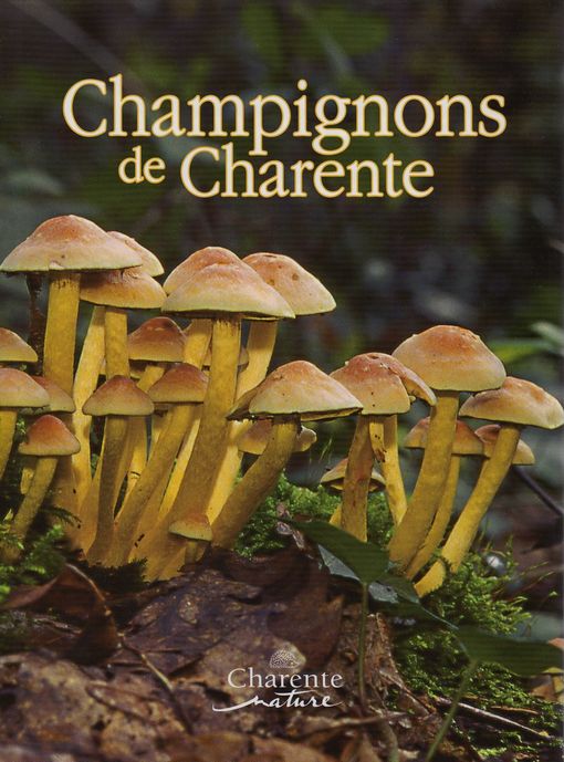 Champignons de Charente